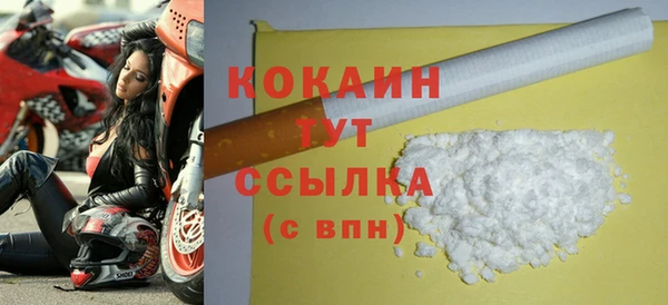 СК Ельня