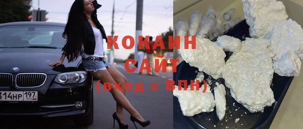 СК Ельня