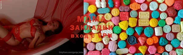 СК Ельня