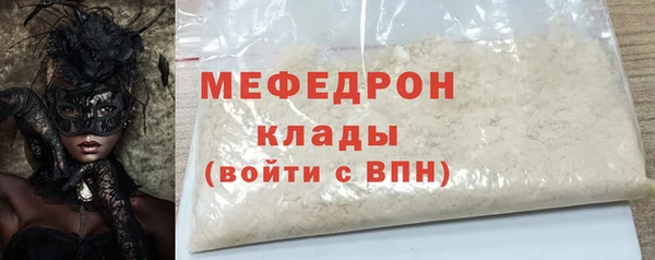 СК Ельня
