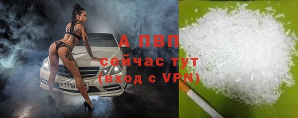 СК Ельня