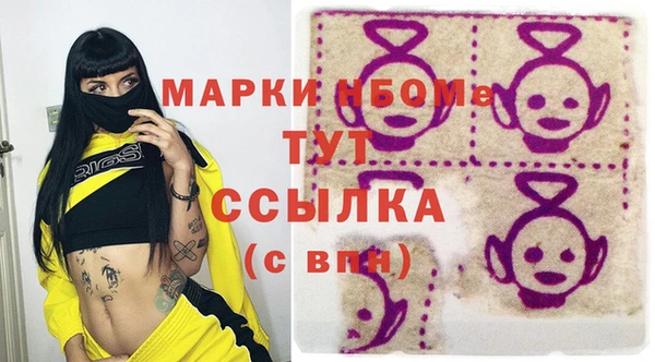СК Ельня