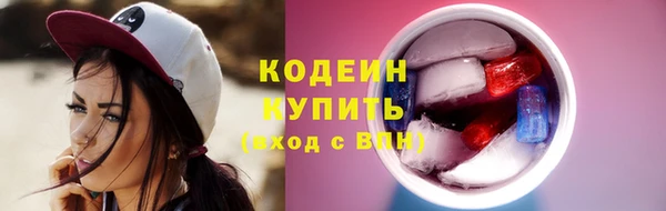 соль ск Елизово