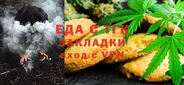 СК Ельня