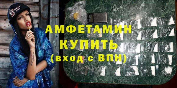 СК Ельня