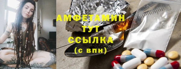 СК Ельня