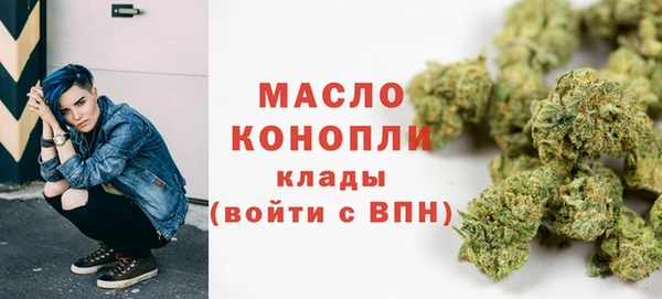 СК Ельня