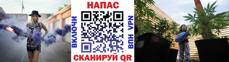 Купить закладки  Петровск-Забайкальский  Шишки марихуана ГИДРОПОН 